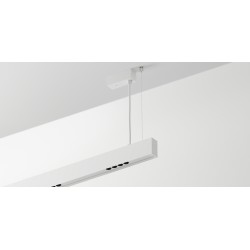 Labra Ray EVO - Shift In ZW 6 zwieszana