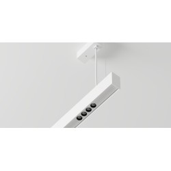 Labra Ray EVO - Shift In ZW 12 zwieszana