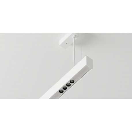 Labra Ray EVO - Shift In ZW 12 zwieszana