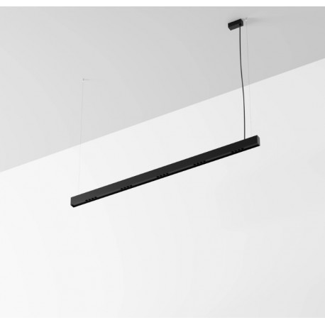 Labra Ray EVO - Shift In ZW 14 zwieszana