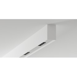 Labra Ray EVO - Shift In NT 12 natynkowa