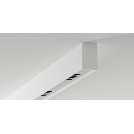 Labra Ray EVO - Shift In NT 12 natynkowa