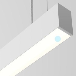 Labra Ray EVO Lightline ZW 12 - 53W