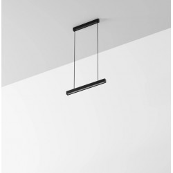 Lampa wisząca Labra Ray ZW 6