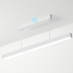 Lampa wisząca Labra Ray ZW 9