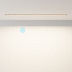 Lampa wpuszczana Labra Ray WP 14