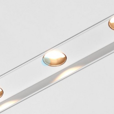 Labra Ray multi.dot WP 11